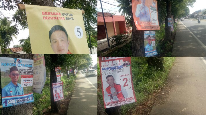 Banner Calon Legislatip Hiasi Pepohonan di Jalan Lintas Pringsewu 