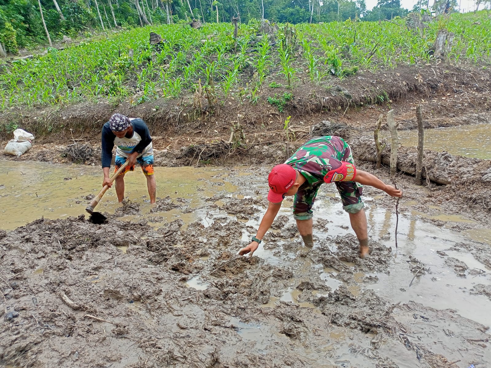 Praka Agustri Bantu Warga Olah Lahan Pertanian di Lematang