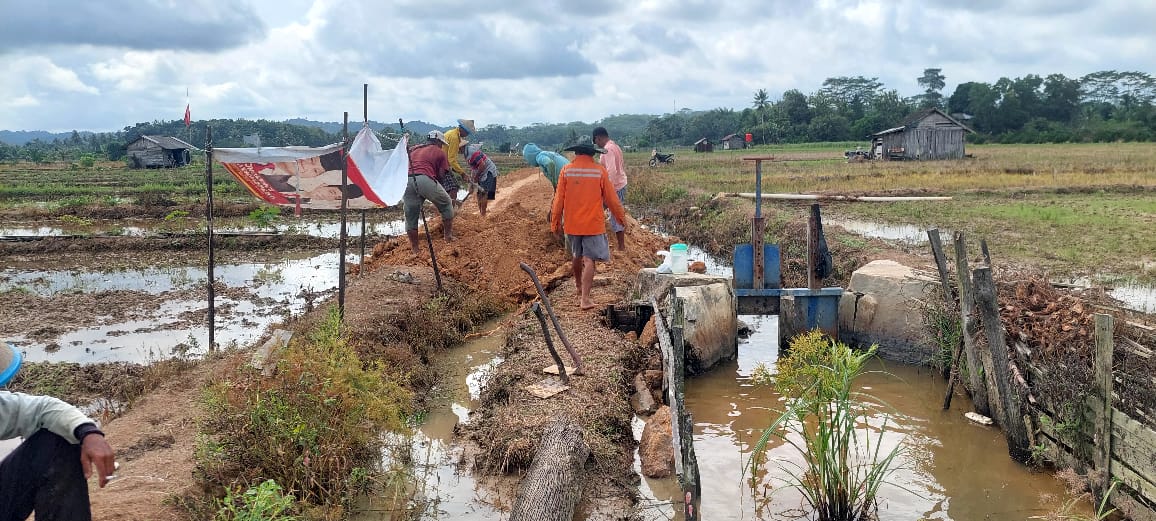 Tingkatkan Hasil Pertanian Melalui Perbaikan Jalan Usaha Tani