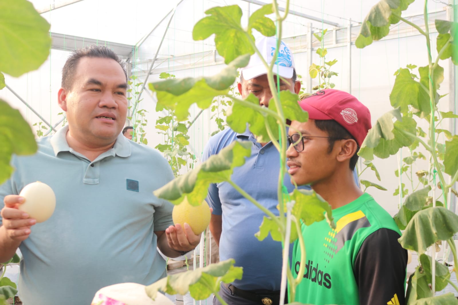 Kebun Melon Green House di Desa Sumberejo Menginspirasi, Diharapkan Bisa Diterapkan di Semua Kecamatan di Blora