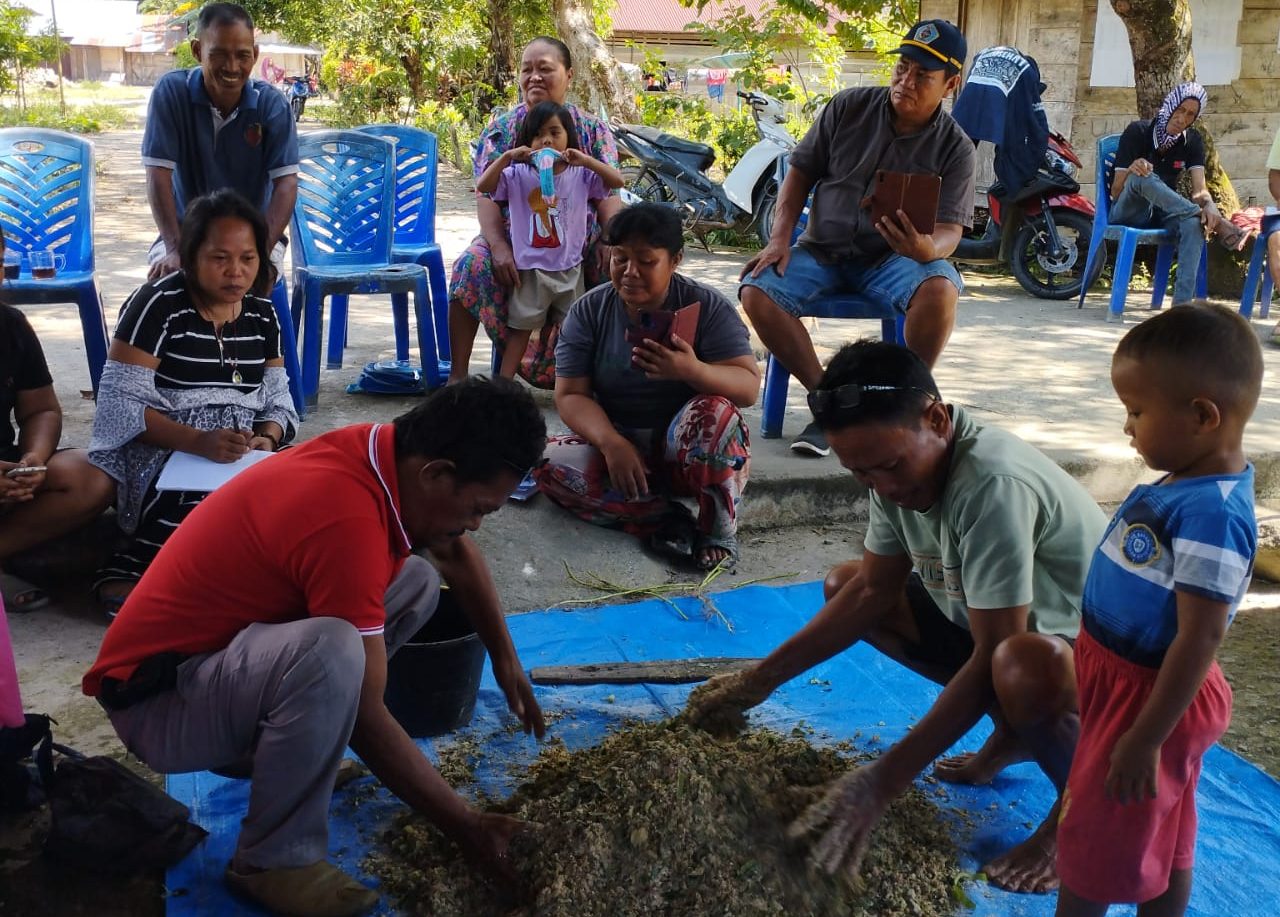CUSS Gelar Diklat Fermentasi Pakan Ternak di TP Saluampak