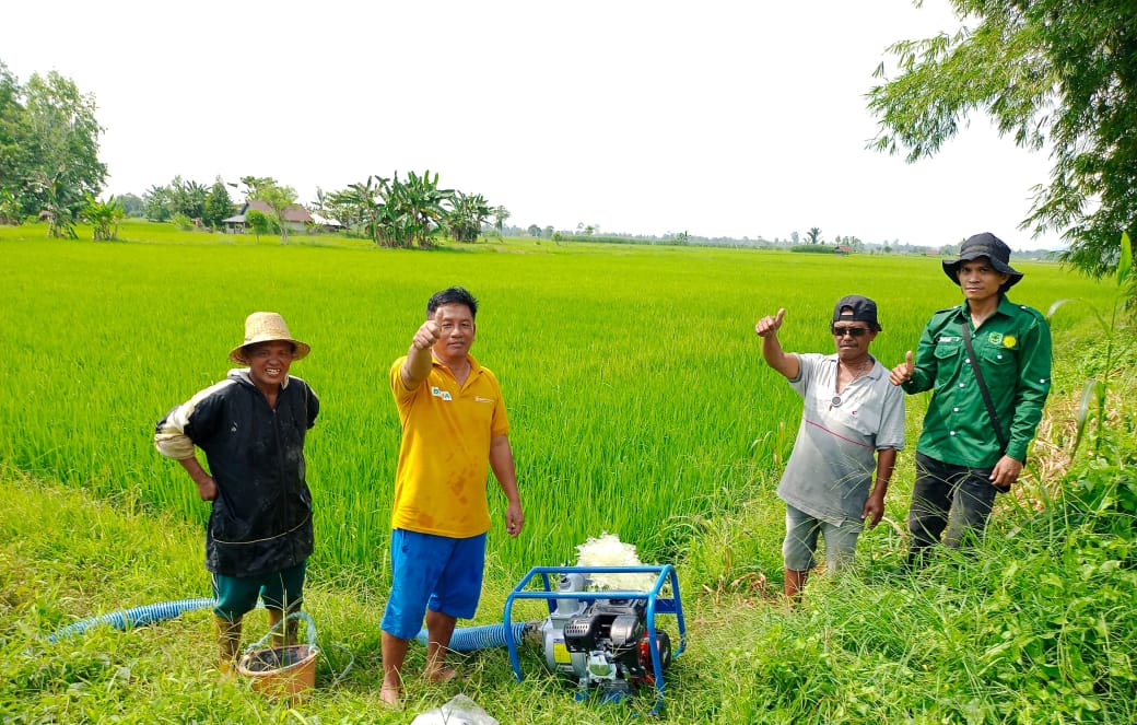 Lima Kelompok Tani di Desa Dandang, Terima Bantuan Pompa Air dari Kementan RI: Lima Koptan Desa Dandang Menggunakannya