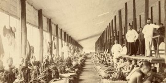 Sejarah Indonesia: Dari Prasejarah hingga Kolonialisme