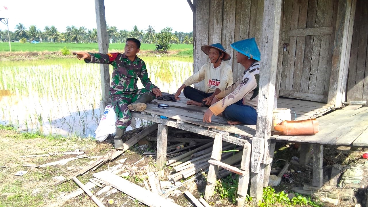 Disela Kesibukan Kegiatan TMMD Diwilayah Babinsa Sempatkan Komsos Dengan Petani