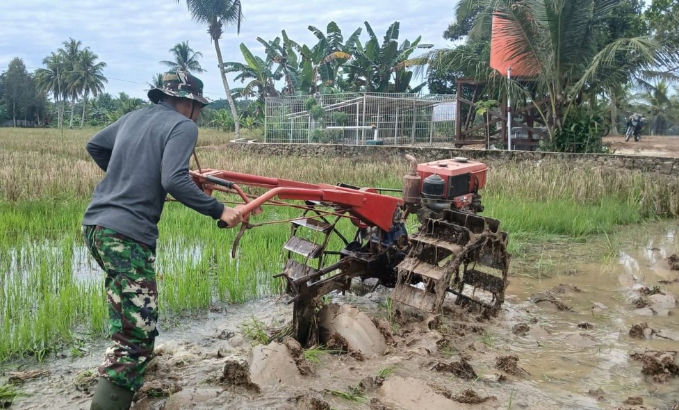 Anggota Satgas Kodim 0906/Kukar Olah Lahan Pertanian di Desa Kertabuana