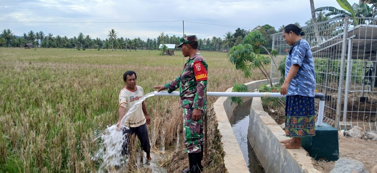Dampak Dari Pembuatan TMAB Pertanian Bagi Petani Sudah Bisa Dirasakan