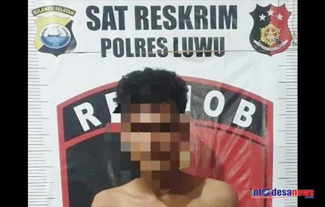 Gegara Tak Tahan Dengar Cekcok dengan Penghuni Kost Wanita, Sadis Pemuda di Luwu Gorok Leher Korban