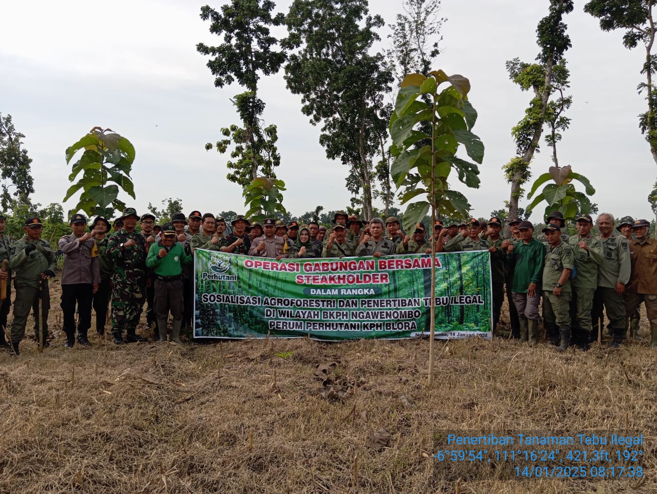 ADM KPH Blora Melakukan Penertiban Penanaman Tebu Ilegal di Kawasan Hutan