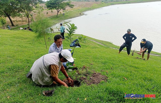 Merawat Blora, Menjaga Bumi Manusia, Rumah Juang Menanam Ribuan Pohon dan Tebar Benih Ikan 