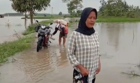 Ratusan Hektare Tanaman Padi di Candipuro Terendam Banjir, Petani Terancam Gagal Panen