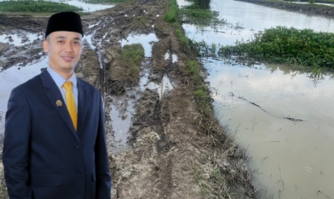 Buruknya Akses Pertanian, Anggota DPRD Lamsel Derri Kesuma Desak Balai Besar Segera Perbaiki Tanggul