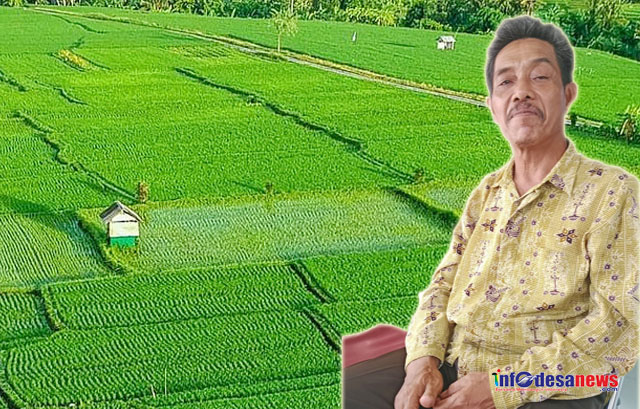 Pemerintah Gulirkan Program Cetak Sawah di Daerah Terpencil, Desa Handil Sohor Terima 500 Hektar