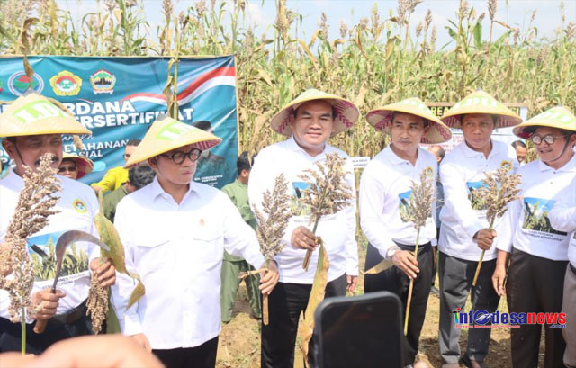 Blora Disetujui Jadi Pusat Sorgum Nasional, Menteri Desa: “Segera Patenkan sebagai Produk Blora”