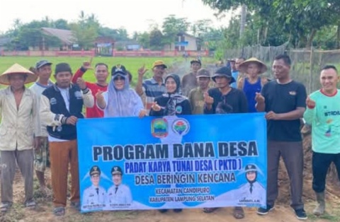 Tingkatkan Perekonomian, Pemdes Beringin Kencana Gelar Program Padat Karya Tunai Desa
