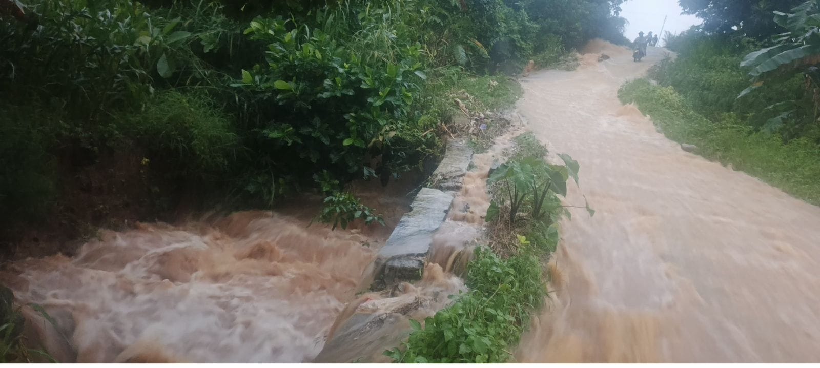 Talud Penahan Jalan di Desa Ledok Ambrol Dihantam Banjir Deras