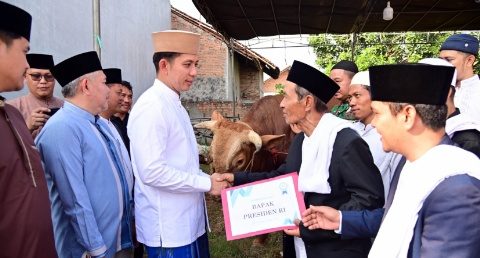 Bupati Egi, Salurkan Hewan Qurban dari Presiden Prabowo