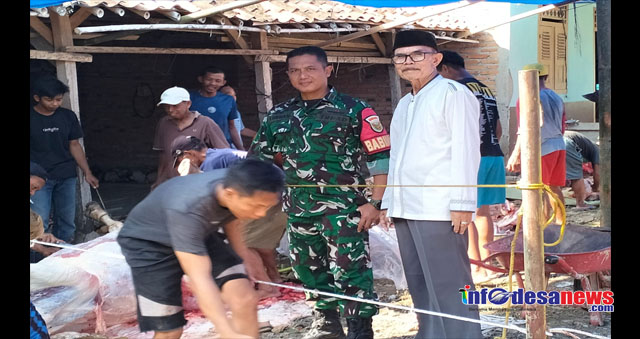 Babinsa Jati Agung Bantu Penyembelihan Hewan Kurban Usai Amankan Sholat Idul Adha