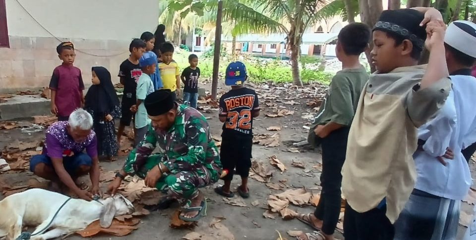 Semarak Idul Adha 1446 H di Pulau Balikukup: Serka Wisandi Pimpin Pawai Obor dan Tunaikan Ibadah Kurban