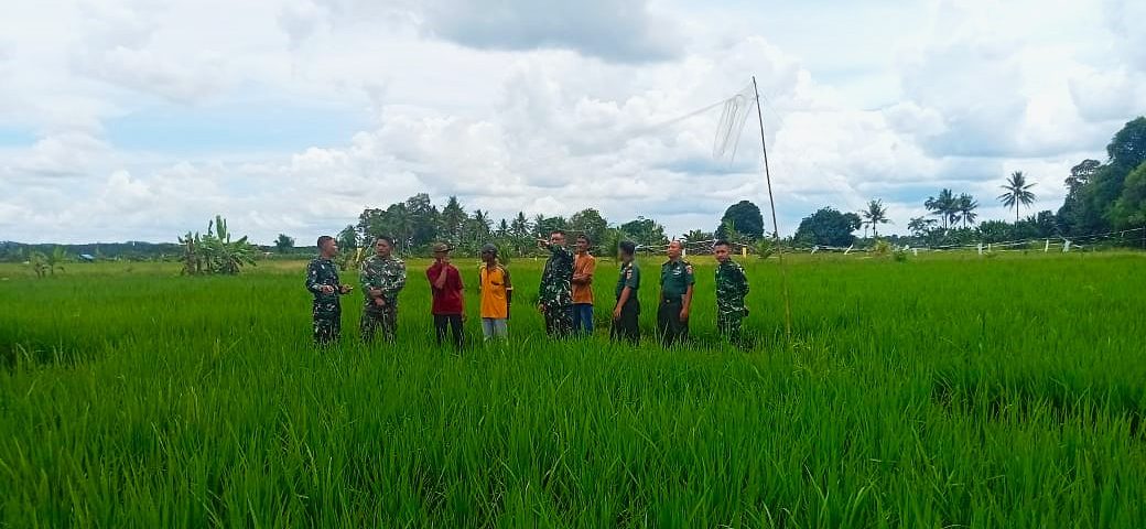 Satgas Kedaulatan Pangan Kodim Kukar Gelar Patroli Bersama, Dorong Ketahanan Pangan Hingga ke Desa