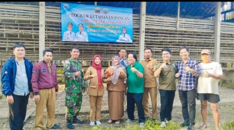 Pemdes Beringin Kencana,Perkuat Ketahanan Pangan, Melalui BumDes Kembangkan Ternak Ayam Petelur