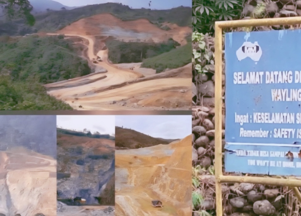 LSM PRO RAKYAT Desak Menteri Kehutanan Cabut Seluruh Izin Di Kawasan Hutan