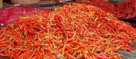 Harga Pangan Nasional : Cabai Rawit Merah Tembus Rp.70.950 per Kg