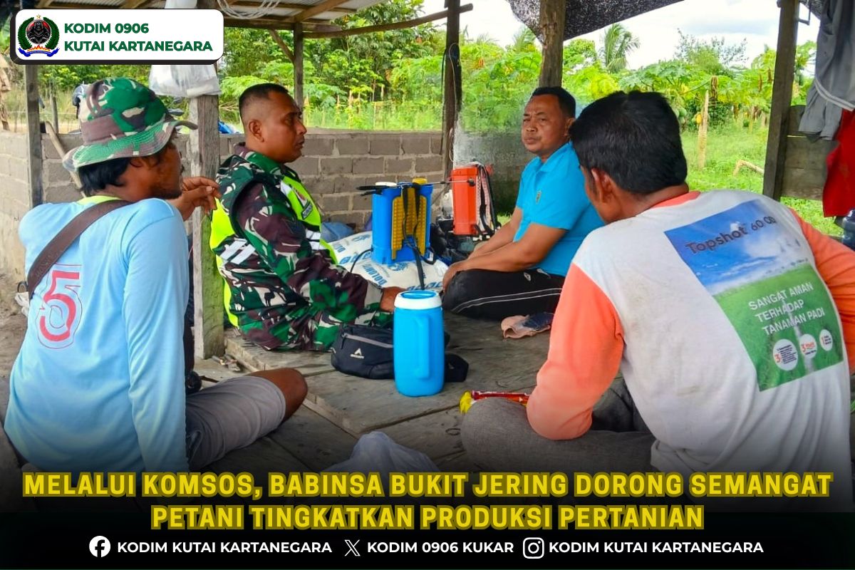 Melalui Komsos, Babinsa Bukit Jering Dorong Semangat Petani Tingkatkan Produksi Pertanian